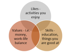 Career path venn